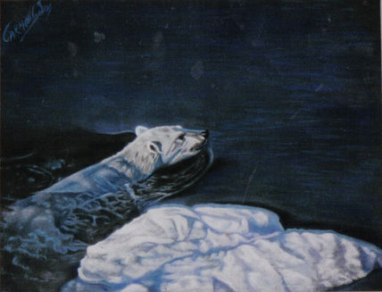 Osa Polar