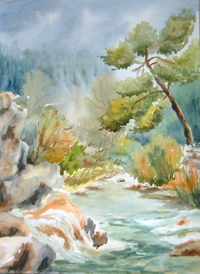 Río de las truchas Watercolour Paper Landscaping