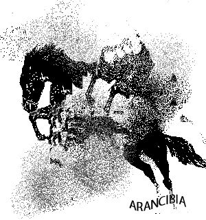 Caballos abstractos