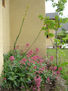 jardín