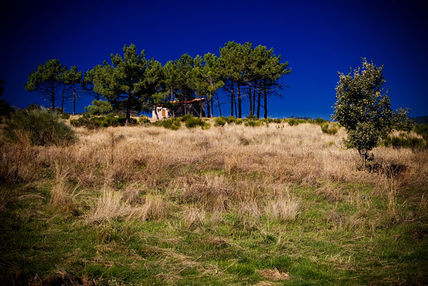 La finca de la Abuela