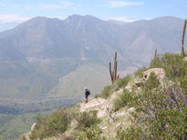 Hombre v/s Naturaleza