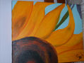 GIRASOL