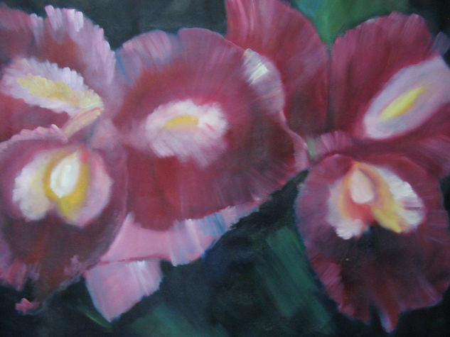 Orquideas Oil Canvas