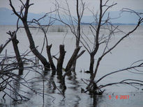 Tarde en el Lago de...