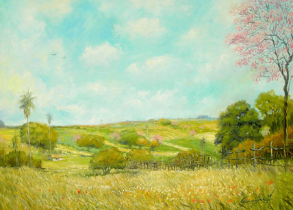 Valle Paraguayo