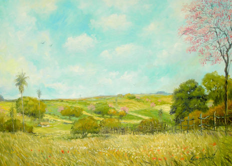 Valle Paraguayo