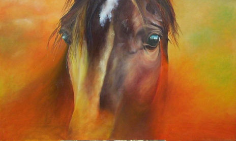 caballos