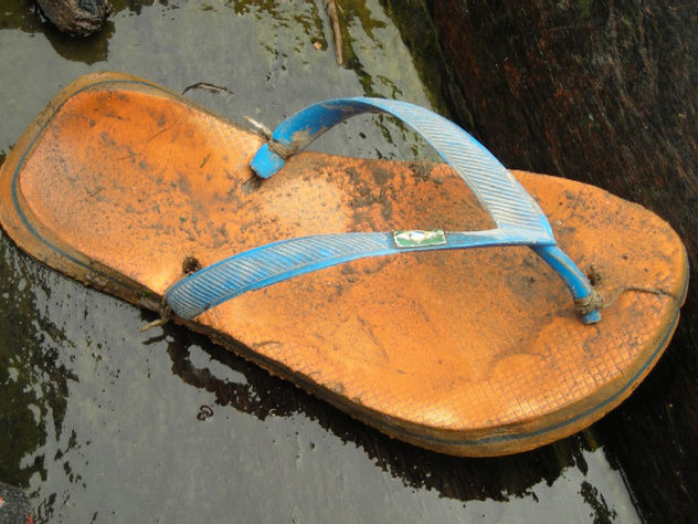 Pescador 1