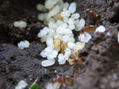 guarderia
