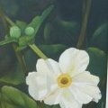 Flor blanca