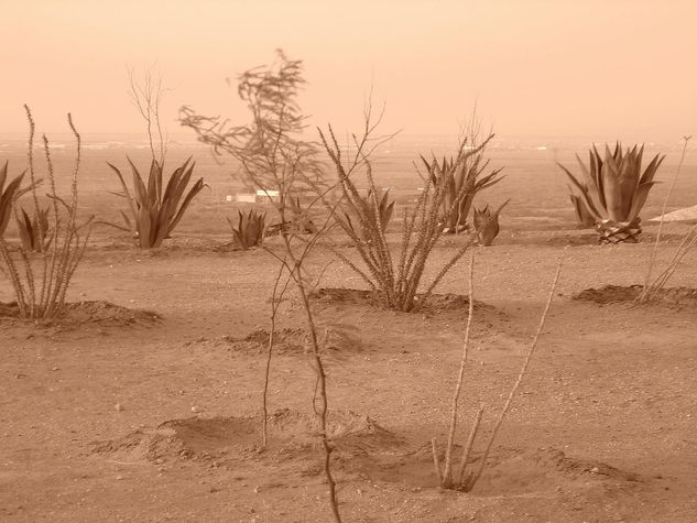 Viento solo viento 