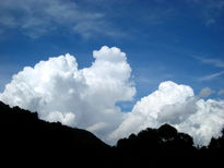 Nubes de algodon