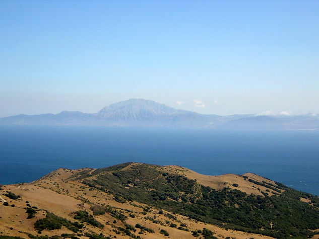 TARIFA 