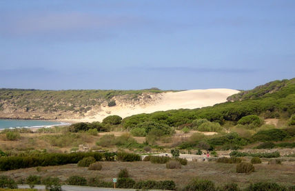Bolonia