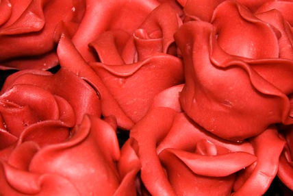Rosas