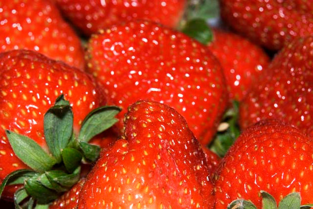 FRESAS