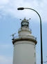 LA FAROLA