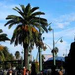 MI MÁLAGA thumbnail 1