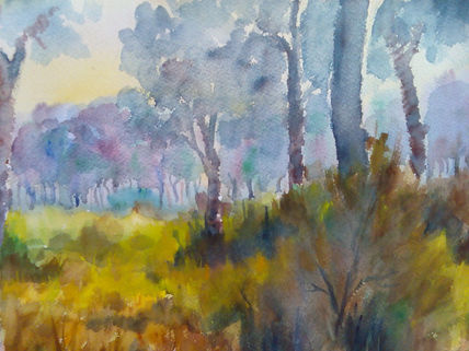 Entre Arboles