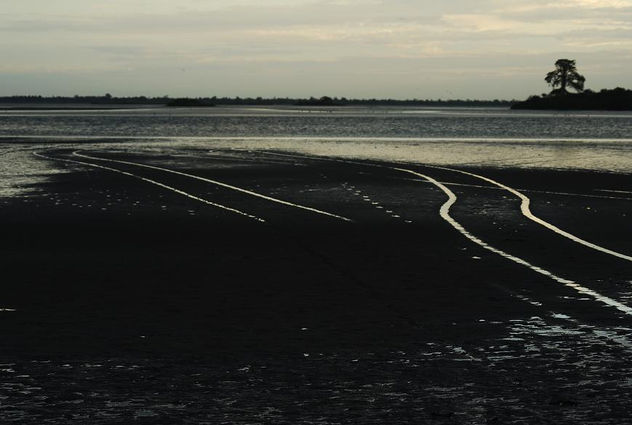 camino