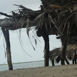 senegal thumbnail 2