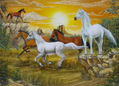 caballos