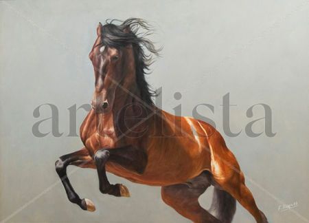 CABALLO DE P.R.E.