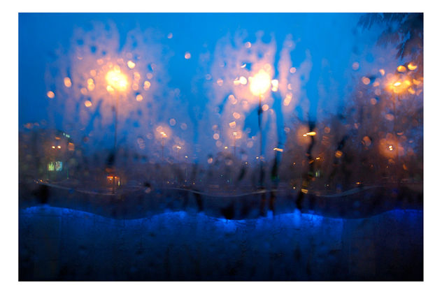 Noche Marina Estrellada