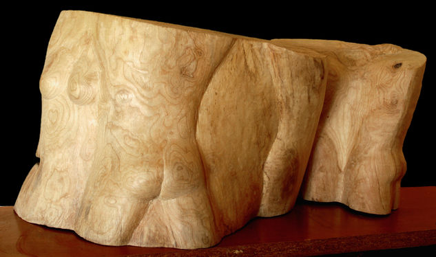 trozos Madera Figurativa