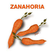 Zanahoria