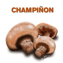 Champiñon