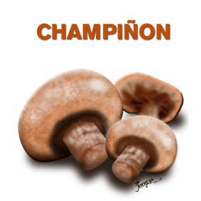 CHAMPIÑON 