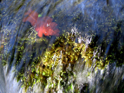 Agua pasada