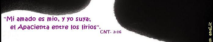 Imagen de portada