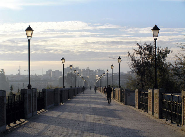 Puente Palma Badajoz 