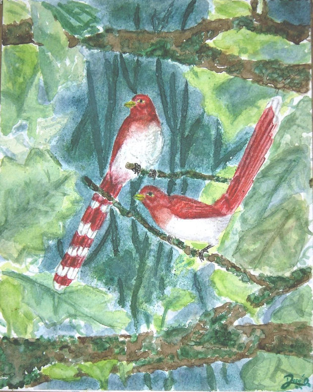 PAJAROS