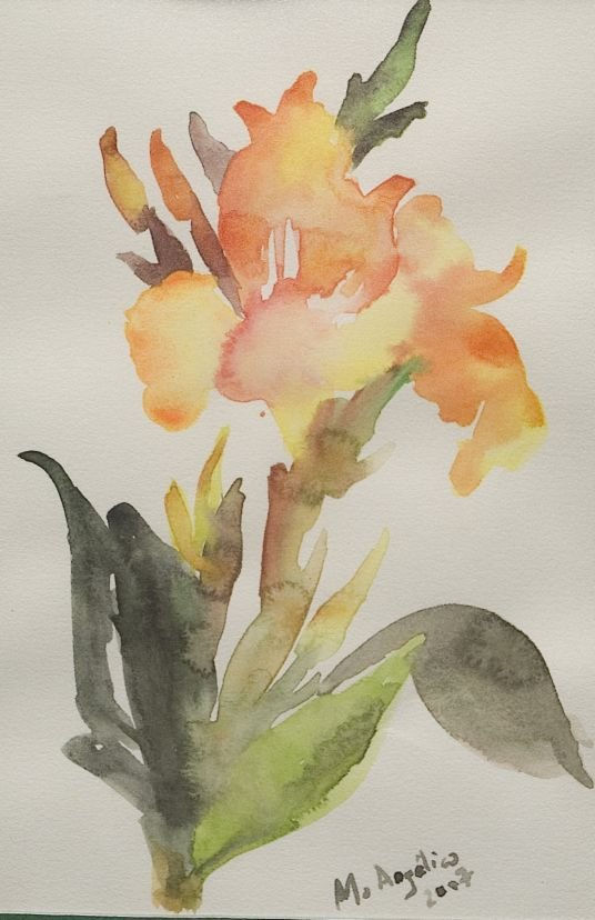 FLOR EXOTICA