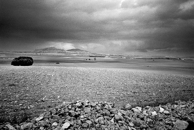 Campos de Chinchilla Naturaleza Blanco y Negro (Química)