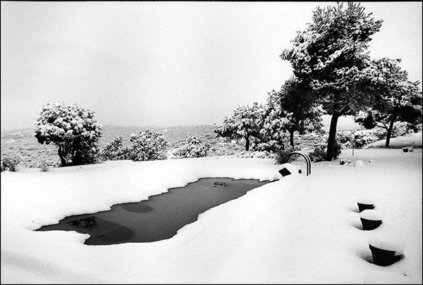 Llegará el verano Nature Black and White (Manual)