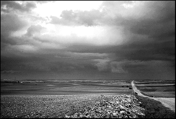 Llanuras de La Mancha Nature Black and White (Manual)