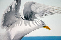 Gaviota (Detalle)