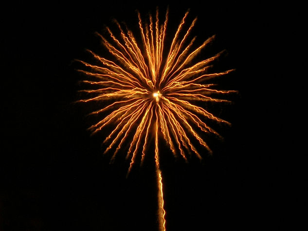 Girasol Cósmico. 