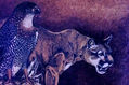 cazadores