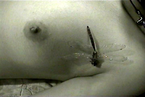 La esperanza 8