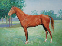 Caballo