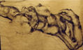 desnudo