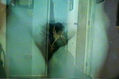 melancolia 19