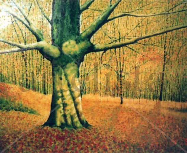 BOSQUE GALICIA