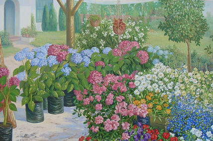 Jardin Hortensias.
